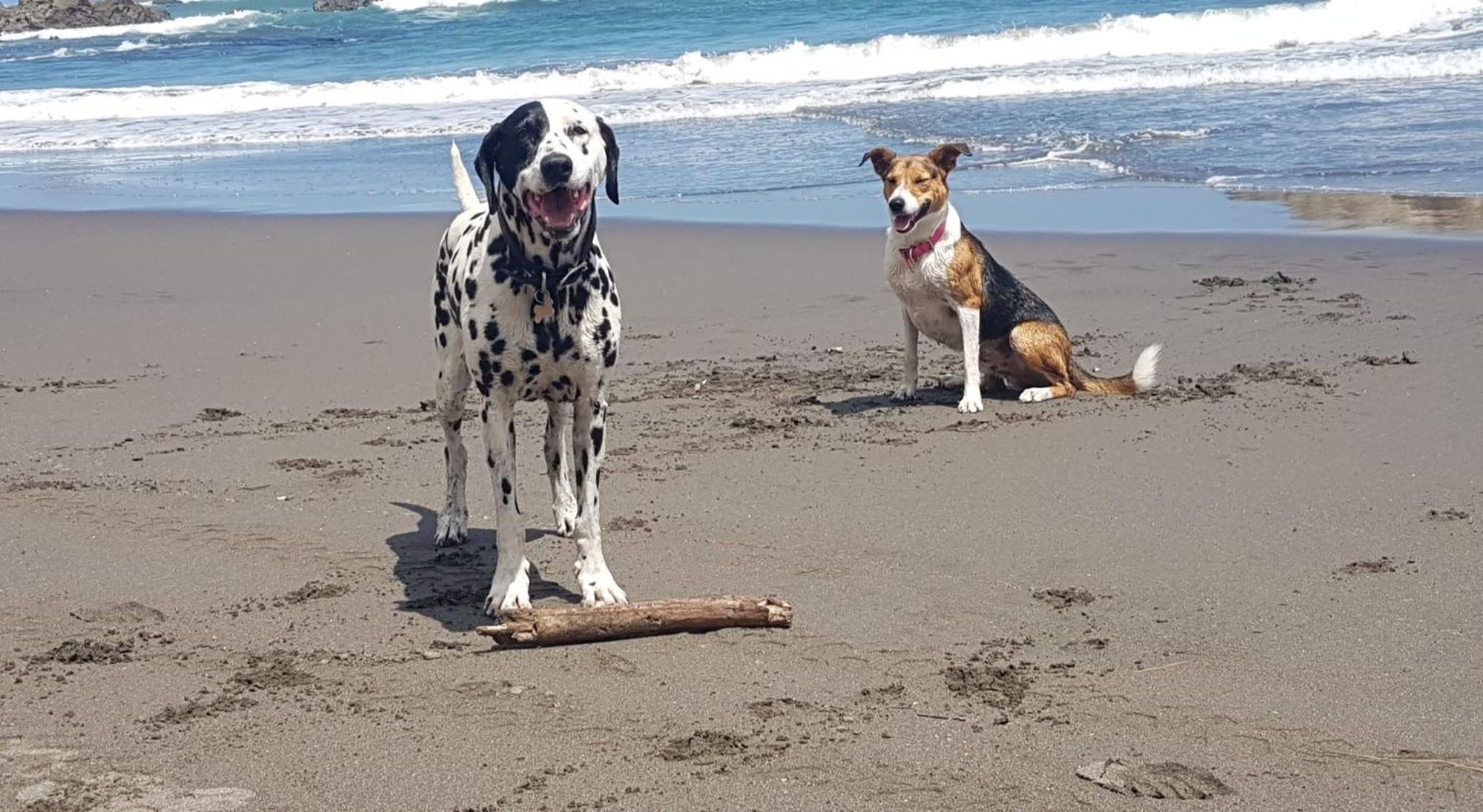 怀卡托港假日公园 Port Waikato 外观 照片