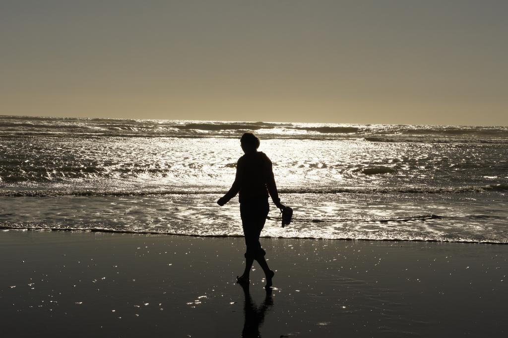 怀卡托港假日公园 Port Waikato 外观 照片