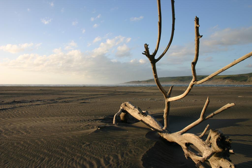 怀卡托港假日公园 Port Waikato 外观 照片